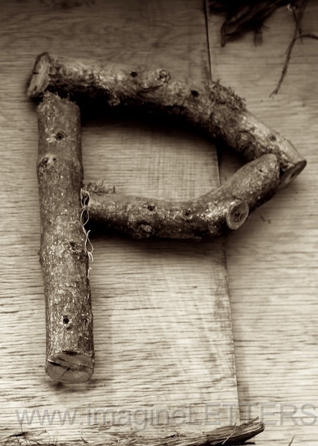 Wall_Art_Alphabet_Photography_Art_ 1805.jpg
